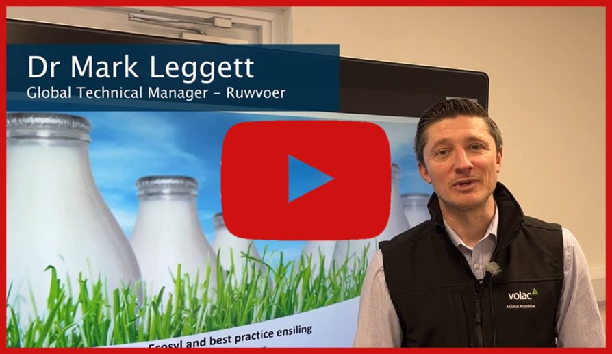 Video Mark Leggett
