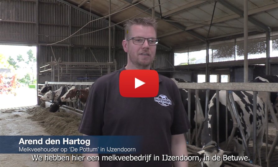De eerste snede inkuilen bij Arend den Hartog in IJzendoorn