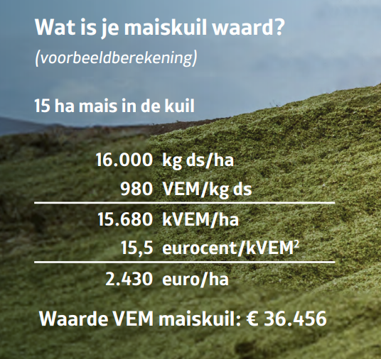 berekening waarde maiskuil
