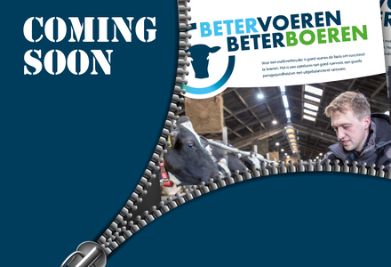 Beeld magazine 1200x1200 listing