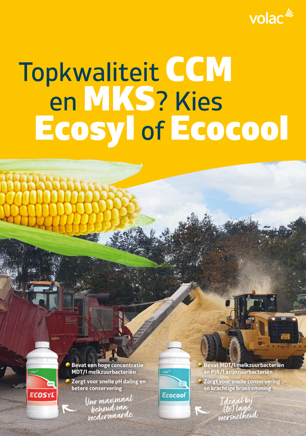 Ecosyl in CCM