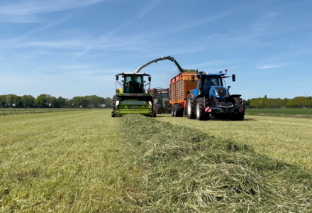 Eerste snede jos bom listing