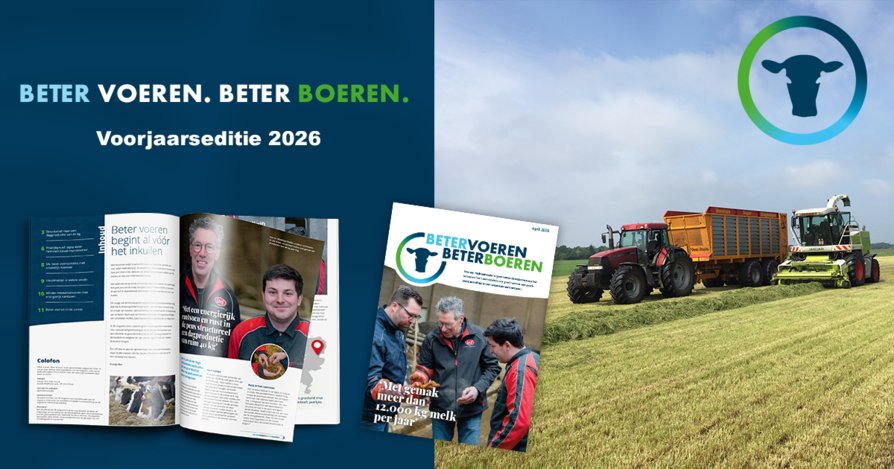 BVBB magazine 4-26 mockup