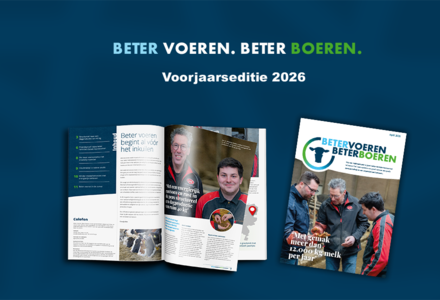 Beeld voorjaarseditie bvbb2 listing